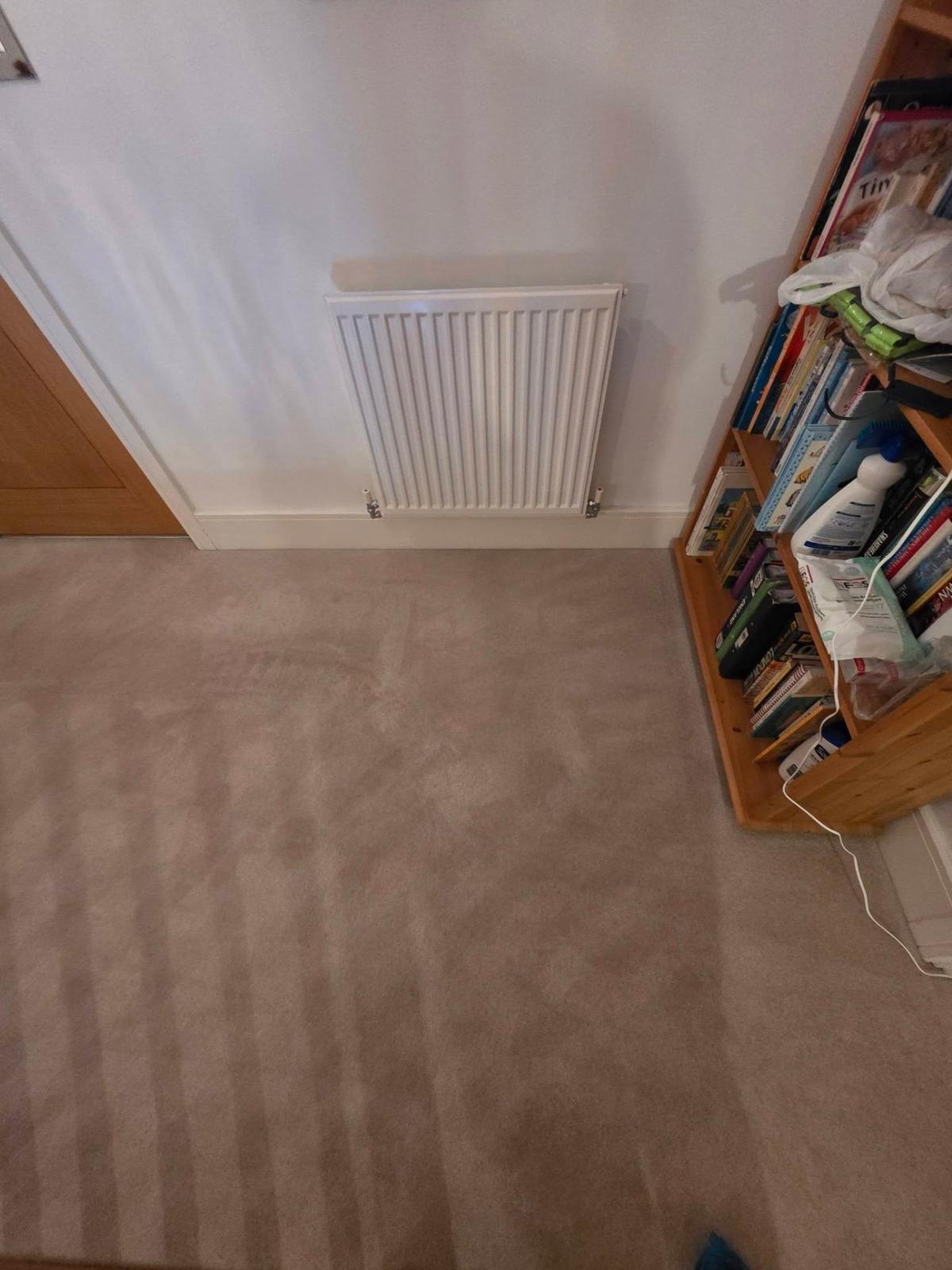 Freshly cleaned bedroom carpet with professional extraction lines visible
