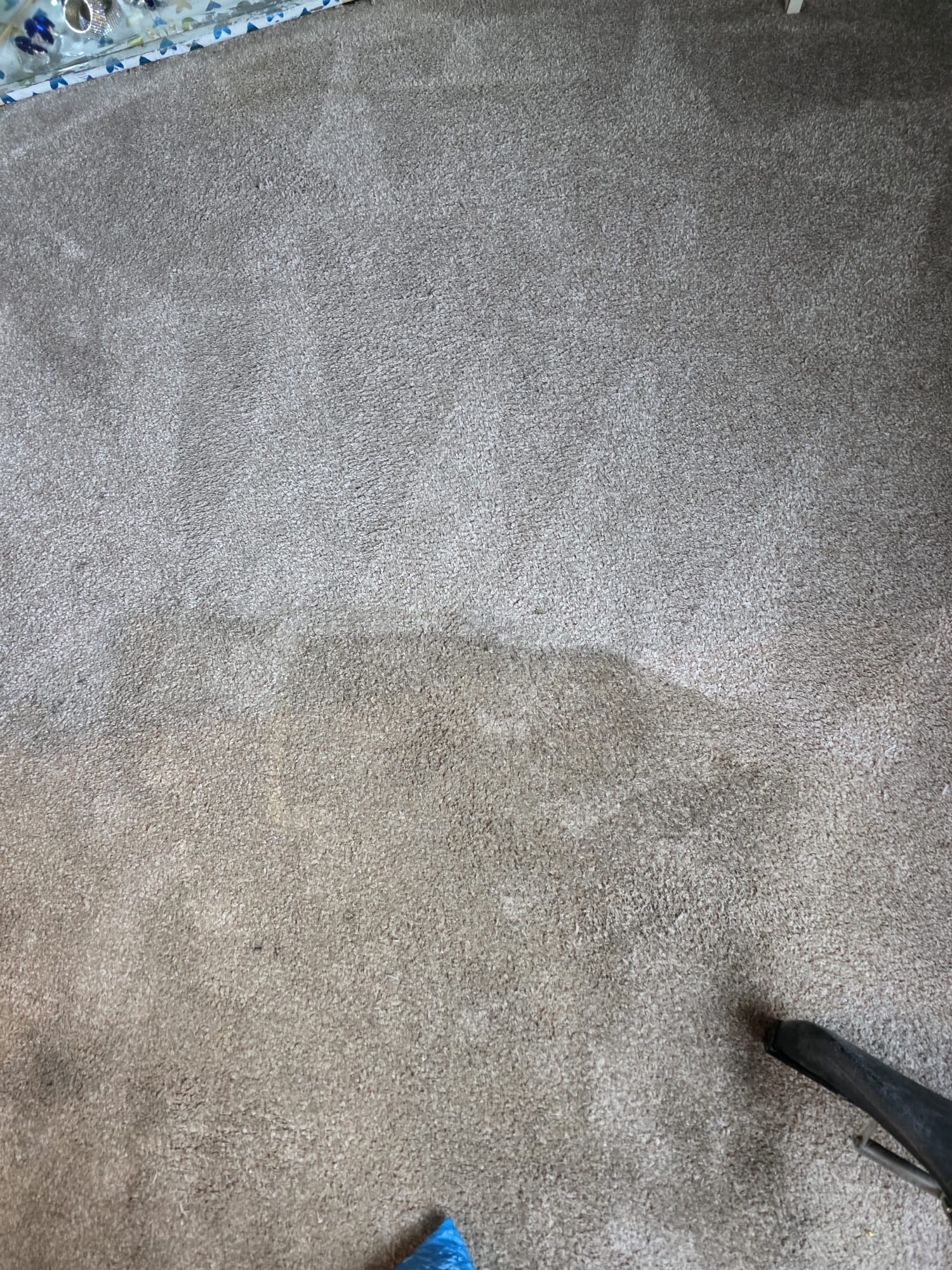 Carpet extraction in progress showing clean versus dirty comparison