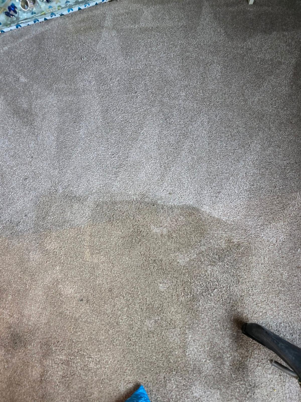 Beige carpet half-cleaned showing dirty versus clean side comparison