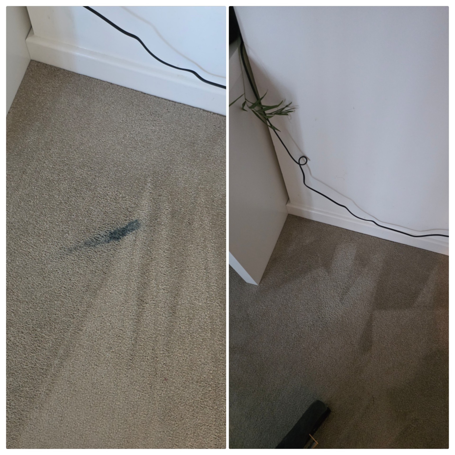 Ink stain on carpet before and after professional extraction cleaning