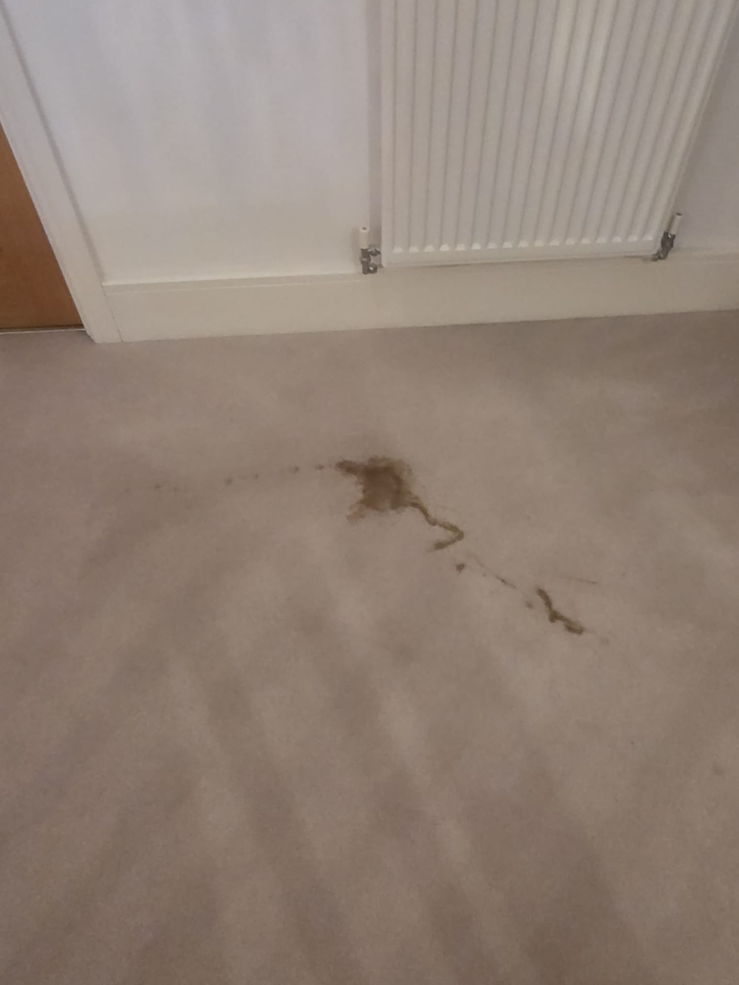 Dark stain on beige carpet before professional cleaning treatment in Buckinghamshire