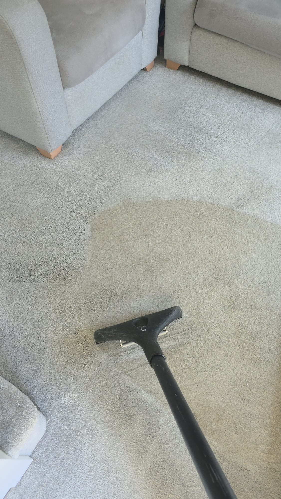 Carpet cleaning wand extracting embedded dirt from lounge carpet near sofas