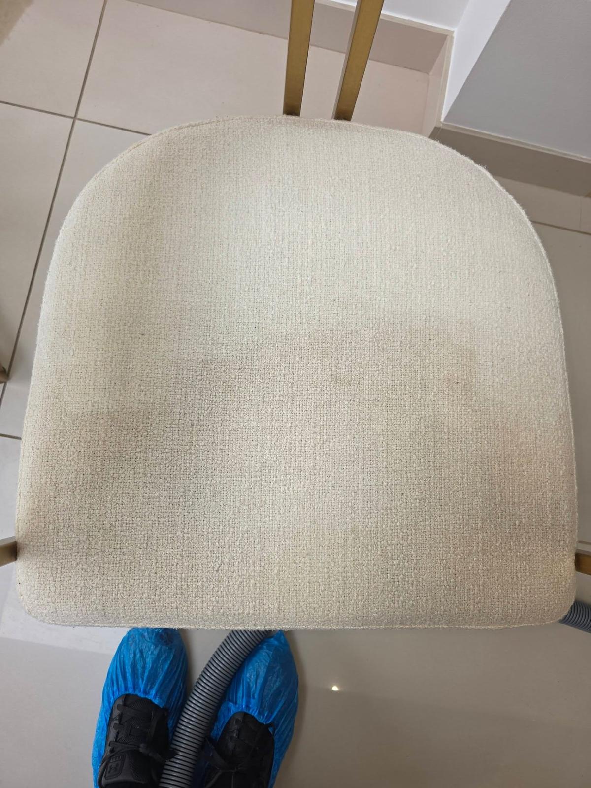 Chair seat pad cleaned showing refreshed fabric after treatment