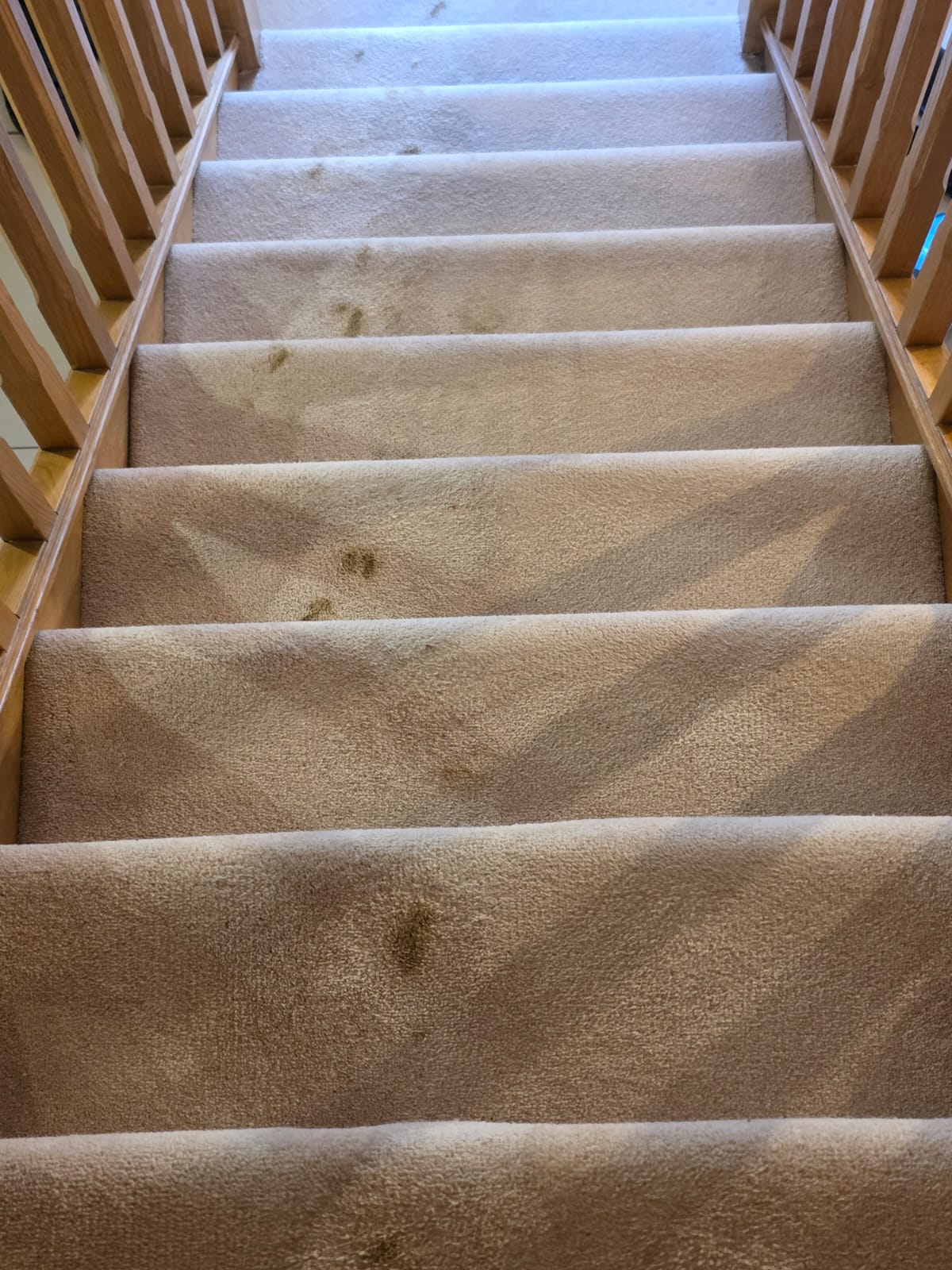 Dirty cream stair carpet before professional carpet cleaning