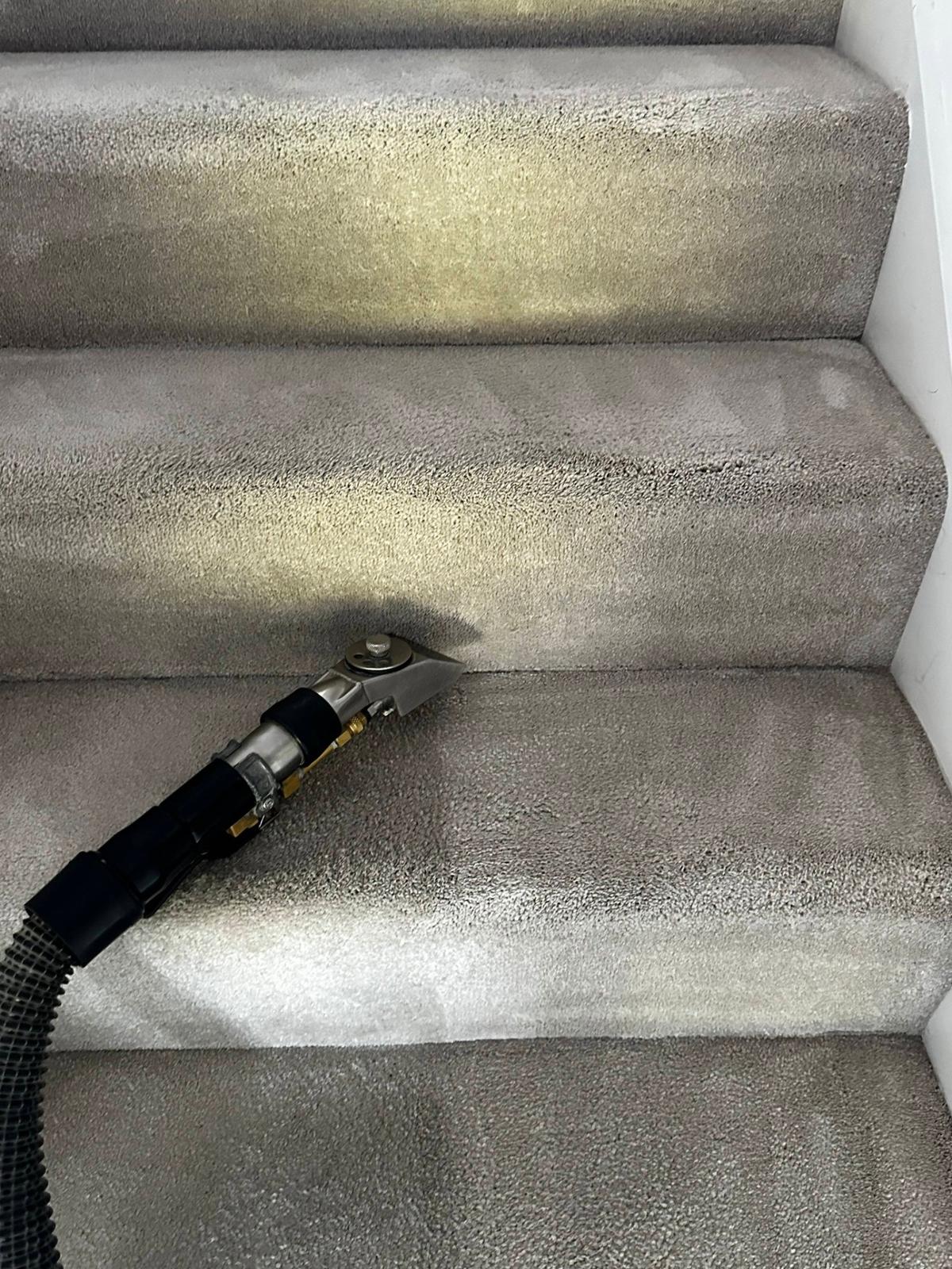 Staircase carpet being deep cleaned with professional extraction wand
